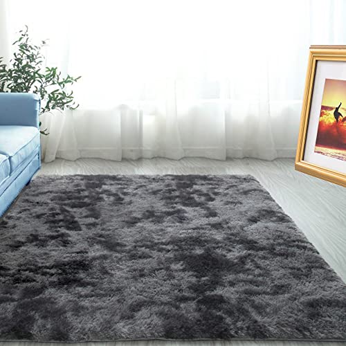 ABWXN Area Rug - 极简深灰长毛绒卧室地毯 (80x150cm)